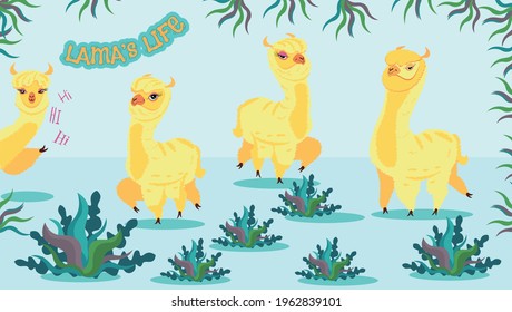 Illustration with llamas.Vector flat design