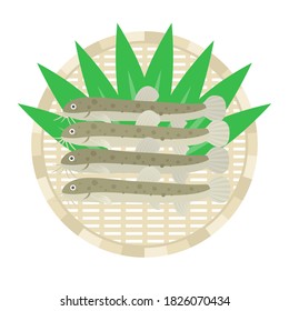 Illustration of a loach on a colander.