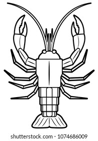 Illustration of a Lobster