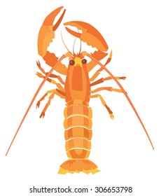 Illustration of a lobster.