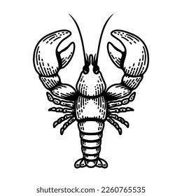 Illustration of lobster. Design element for poster, card, banner, emblem, sign. Vector illustration
