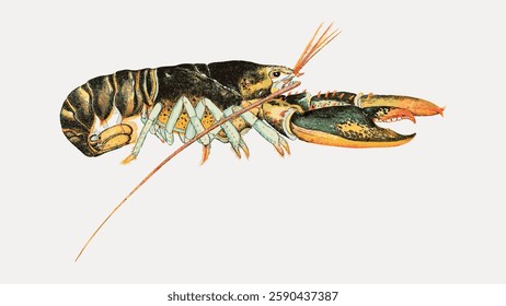 Illustration of a lobster with detailed claws and antennae. The lobster is depicted in a side view, showcasing its intricate shell and segmented body. Vintage illustration isolated on white, vector.