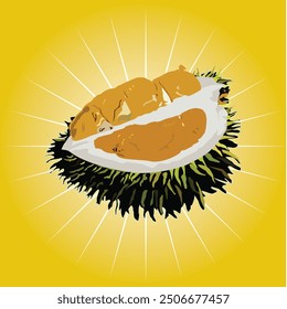 Illustration of a local fruit from Malaysia- Durian- yellowish filled covered with hard shell and sharp thorns