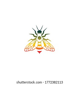 illustration logo bee templet vector