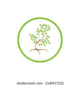 logotipo de ilustración de plantilla de diseño de árbol