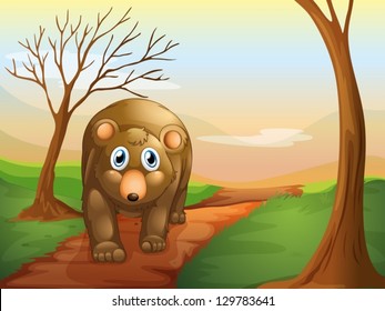 Illustration of the lonely bear walking