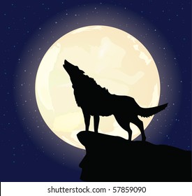 130 Vector illustration of wolf and moon and flowers Images, Stock ...