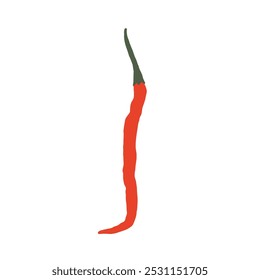 Illustration of long red chili peppers isolated on white background. Red pepper design elements. Vector illustration. 