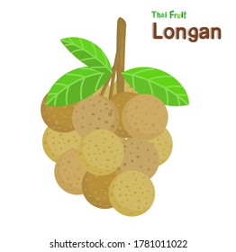 Ilustración Vector de frutas Longan Thai
