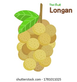 Illustration Longan Thai Fruit Vector