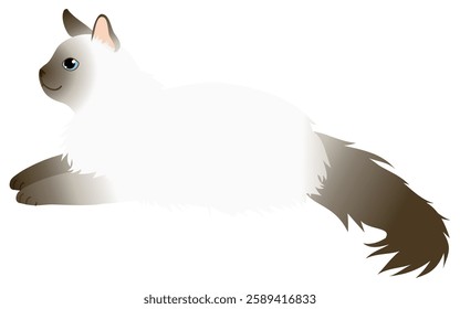 Illustration of a longhair cat, Balinese with chocolate-colored points, lying down, Vector Illustration