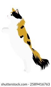 Illustration of a long-haired cat, a tortoiseshell Norwegian forest cat standing on its hind legs, Vector Illustration