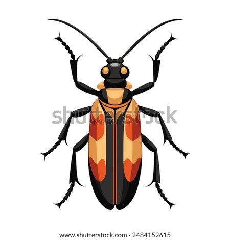 illustration of longhorn beetle insect on white