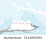 It is an illustration of long-tailed tit and snow.