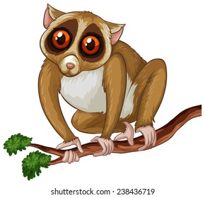 Illustration of a loris on a tree