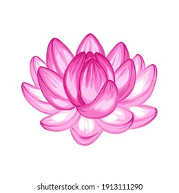Illustration of lotus flower. Water lily decorative image. Natural tropical plants.