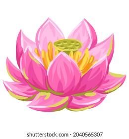 Illustration of lotus flower. Water lily decorative image.