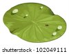 lilly pad vector