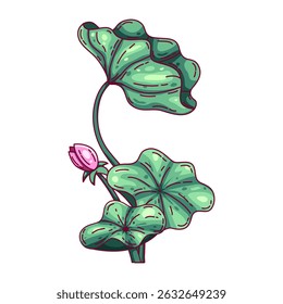 ilustração planta de lótus com folhas verdes largas e detalhadas e um único botão rosa delicado