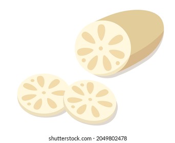 Es ist eine Illustration von Lotuswurzel.
