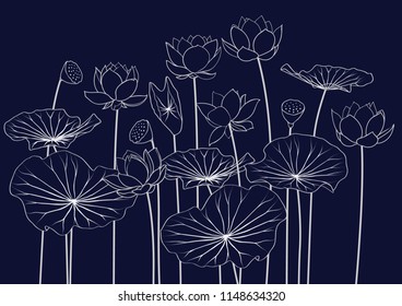 Illustration, Lotus vector