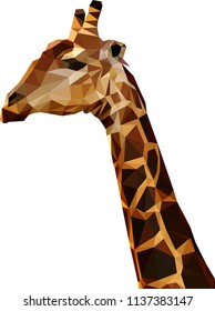 illustration low poly giraffe