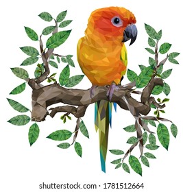 Illustration low polygonal vector drawing of sun conure parrot bird.