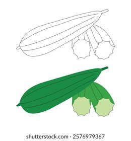 Illustration luffa unique design with blank background