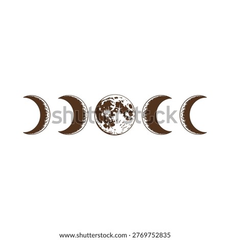 Illustration of the lunar cycle phases from new to waning crescent
