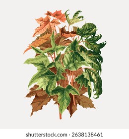 Illustration of lush green and brown leaves, showcasing detailed foliage. The leaves are vibrant, with intricate patterns, highlighting the beauty of nature. Vintage art illustration vector.
