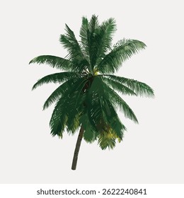 Illustration of a lush green palm tree with detailed fronds. The palm tree stands tall, showcasing vibrant green leaves. Palm tree art with a tropical vibe. Vintage illustration vector.