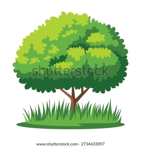 Illustration of a lush green tree with a rounded canopy standing on a grassy lawn against a white background.