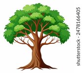 Illustration of a lush green tree with strong branches, thick canopy, vibrant foliage