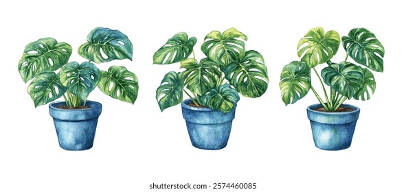 illustration of a lush Monstera plant in a blue pot, perfect for home decor, botanical art, or nature-themed designs. The vibrant green leaves and artistic style add a touch of elegance and freshness.