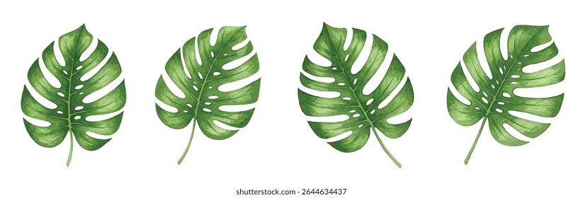illustration of a lush Monstera plant in a blue pot, perfect for home decor, botanical art, or nature-themed designs. The vibrant green leaves and artistic style add a touch of elegance and freshness.