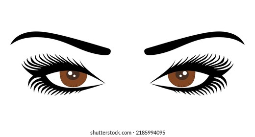 Illustration of a luxurious female brown eye with perfectly shaped eyebrows and full eyelashes. Hand drawn brown eyes idea for business card, typography vector. Perfect view of the salon. Vector 