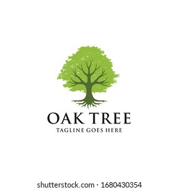 Illustration luxury Oak tree logo design vintage vector template