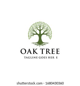 Illustration luxury Oak tree logo design vintage vector template