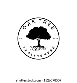 Illustration luxury Oak tree vintage sign logo design template