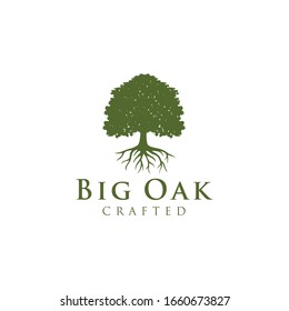 Illustration luxury Oak tree vintage sign logo design template 