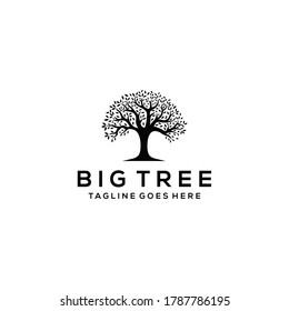 Illustration luxury Oak tree vintage sign logo design template 