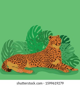Illustration of a lying cheetah on a green background. The illustration also contains leaves of monstera.