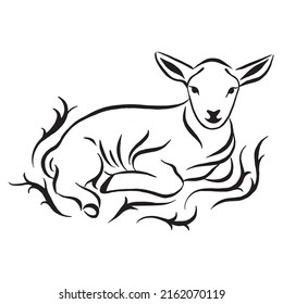 Illustration of lying lamb surrounded by ornament. Sketch style farm animal. Sheep vector art. Linear drawing.