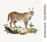 Illustration of a lynx standing on a rock with plants. The lynx has tufted ears and a short tail. The lynx is surrounded by greenery and flowers. Vintage animal illustration vector.