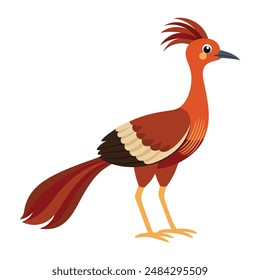 Illustration of Lyrebird on white