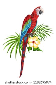 Illustration of macaw parrot. Tropical exotic bird, palm leaves and hibiscus flowers.