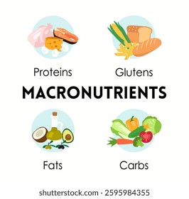 Illustration of macronutriates on a white background.