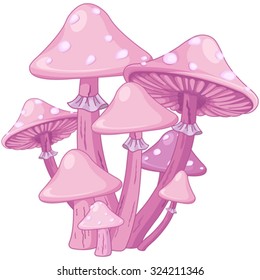 Illustration of magic toadstools