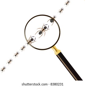 illustration with magnifying and ants