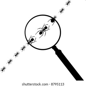 illustration with magnifying and ants